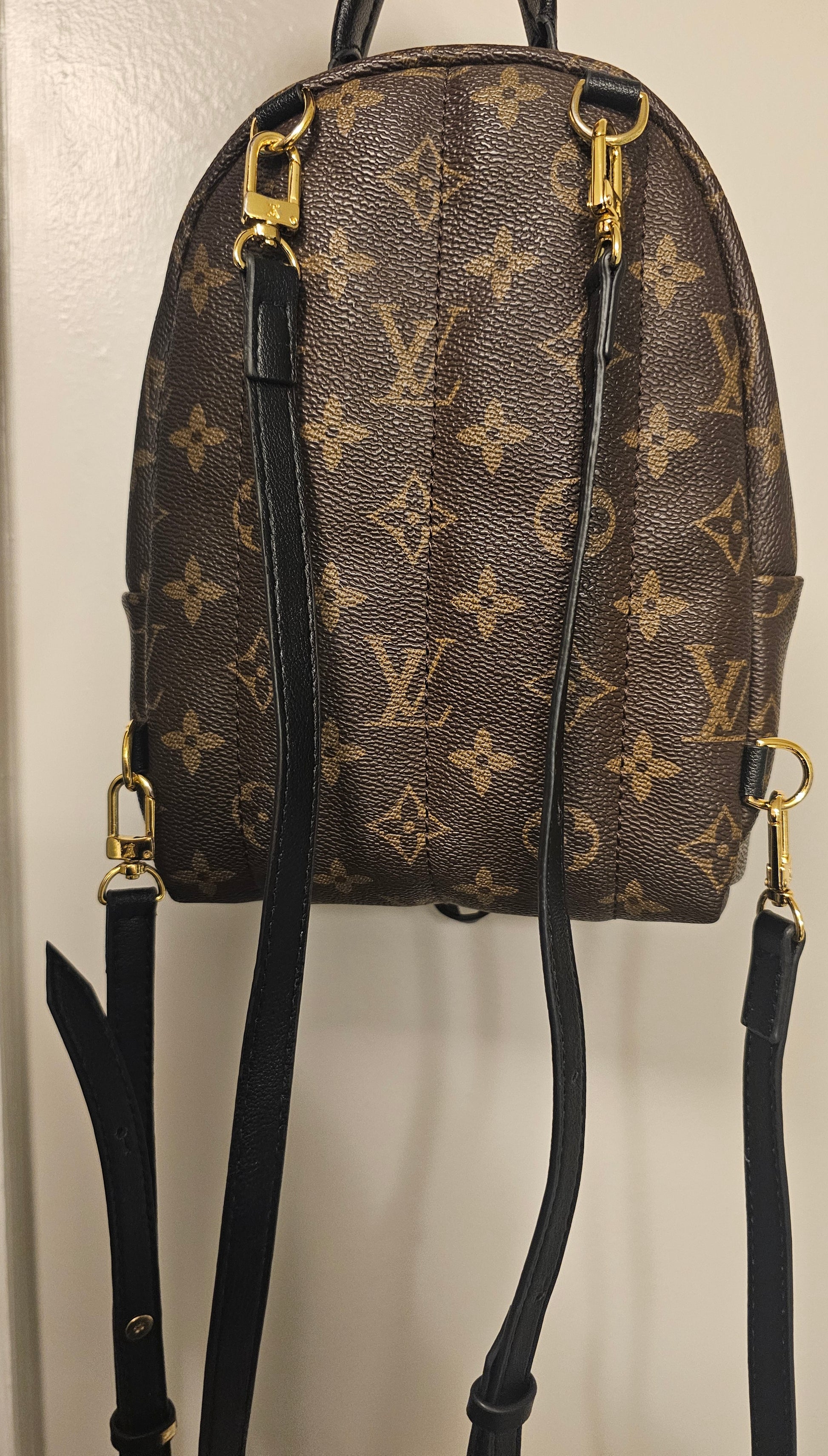 Louis Vuitton mini palm springs backpack – Ictreasuresk Louis Vuitton mini palm springs backpack – Ictreasuresk