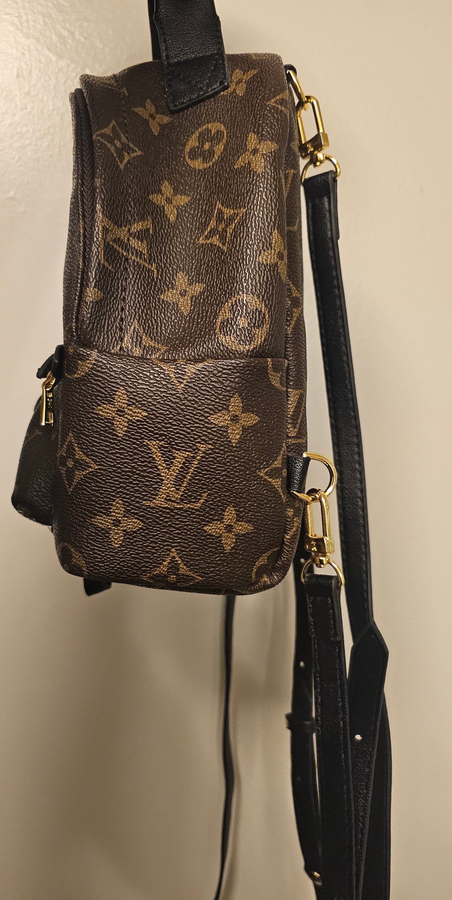 Louis Vuitton mini palm springs backpack – Ictreasuresk
