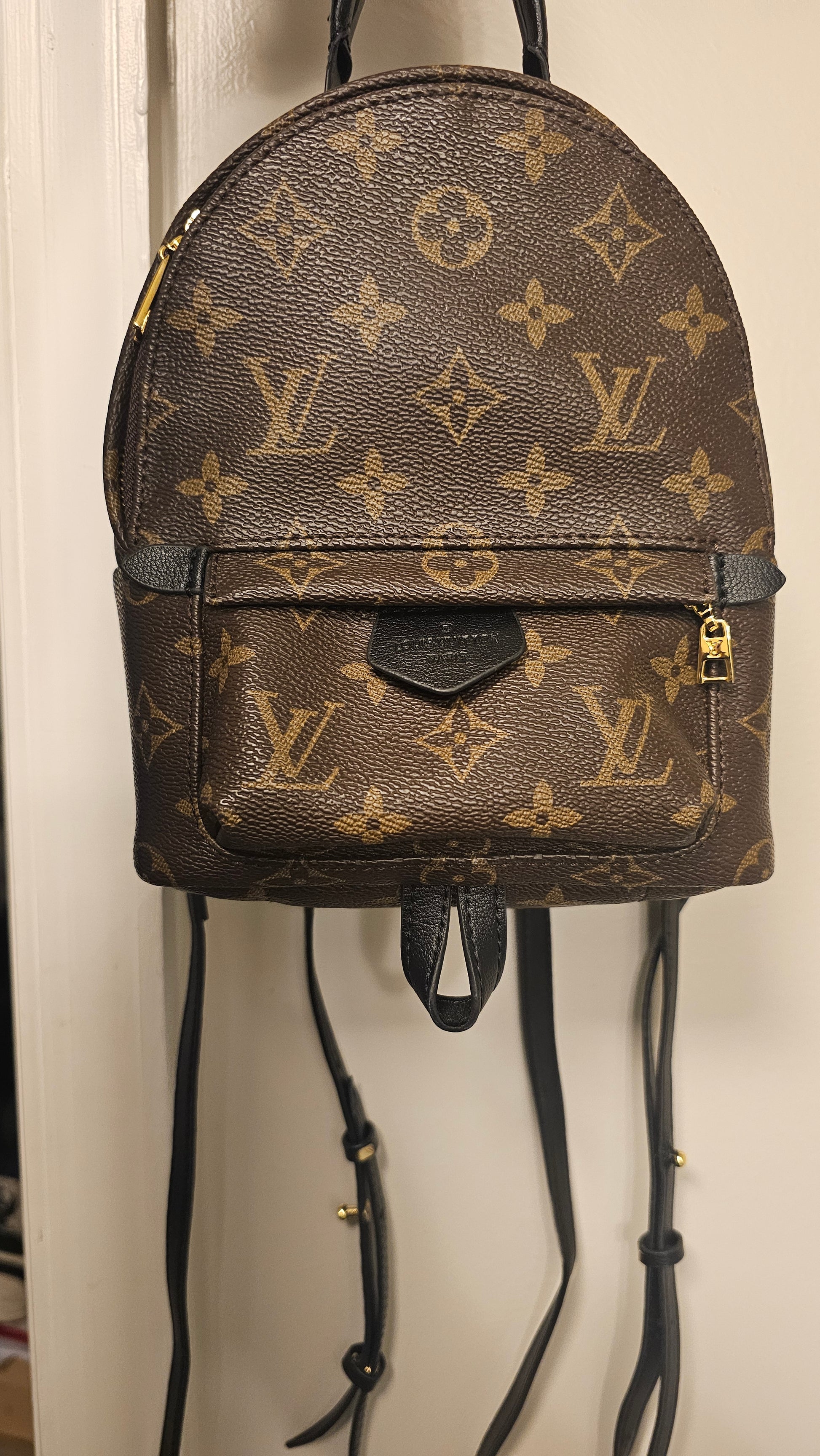 Louis Vuitton mini palm springs backpack – Ictreasuresk Louis Vuitton mini palm springs backpack – Ictreasuresk