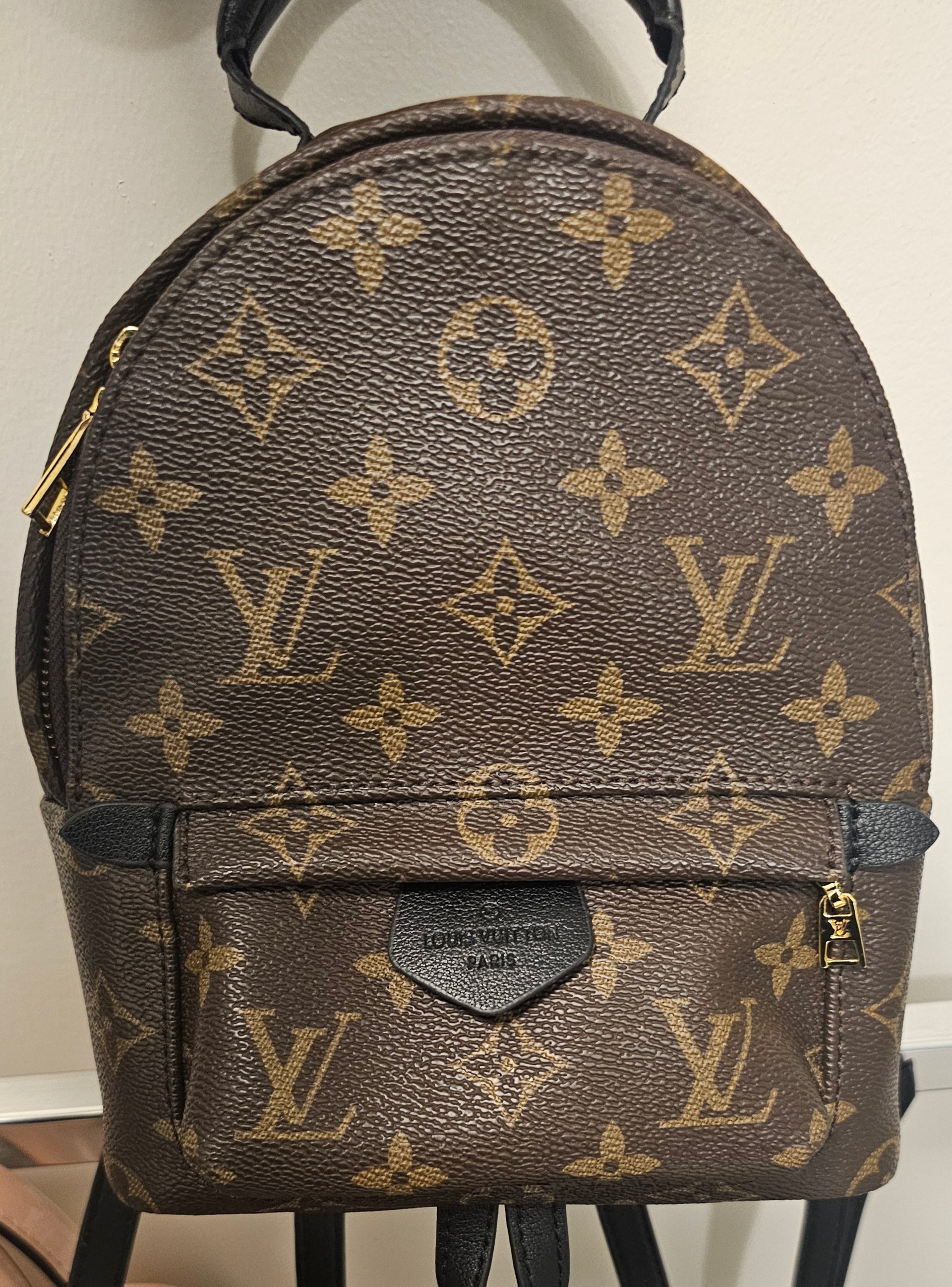 little louis vuitton backpack Louis Vuitton mini palm springs backpack – Ictreasuresk