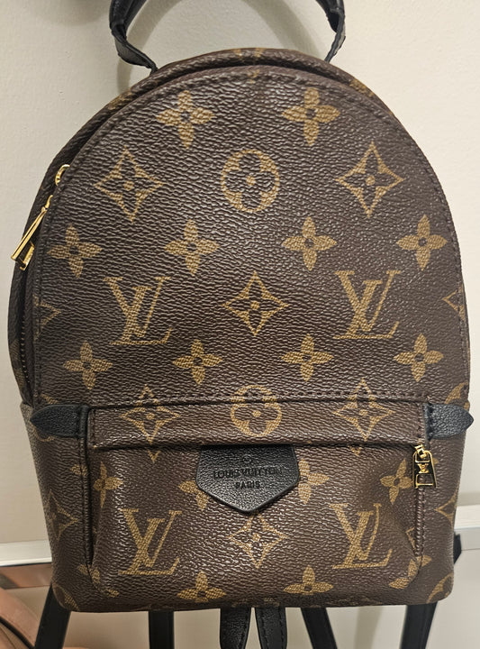 Louis Vuitton mini palm springs backpack