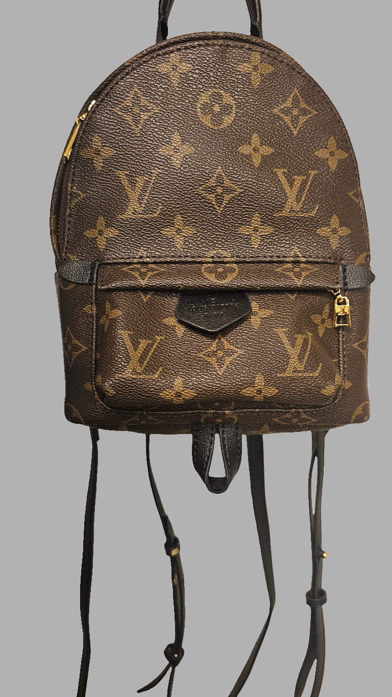 Louis Vuitton mini palm springs backpack – Ictreasuresk